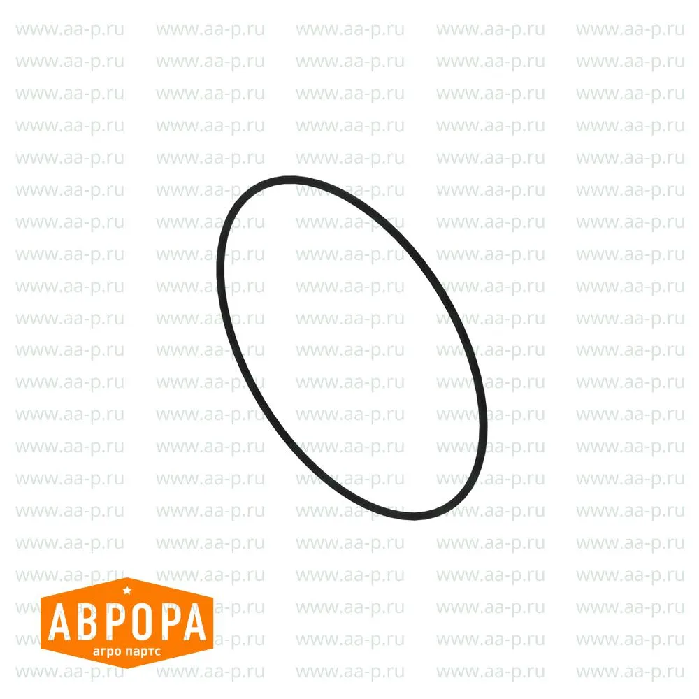 O-Ring